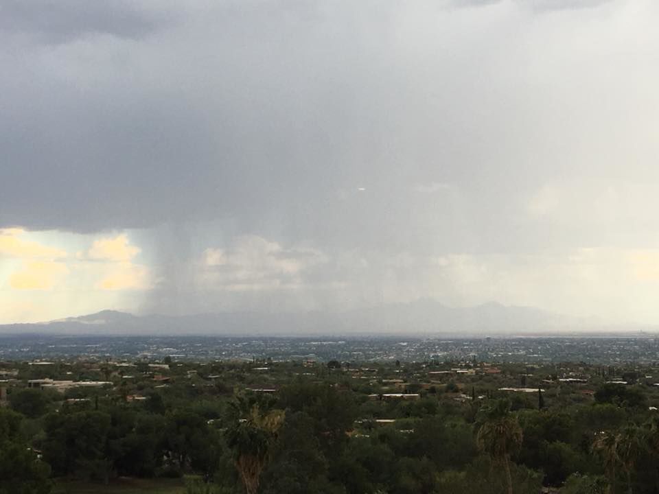 Reader monsoon photos